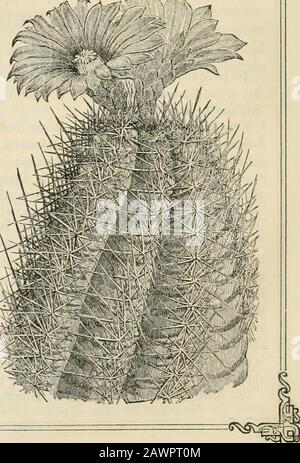 Le Horticulturiste et journal de l'art rural et du goût rural . Banque D'Images