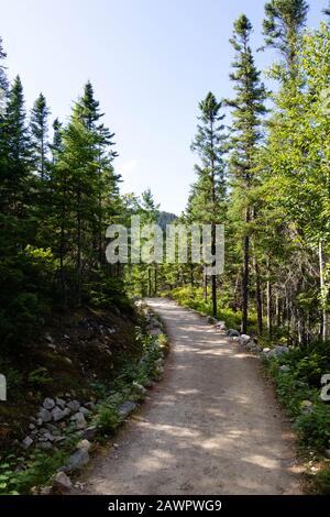 Chemin d'accès dans un parc national de la région de Charlevoix, au Québec, au Canada. Banque D'Images