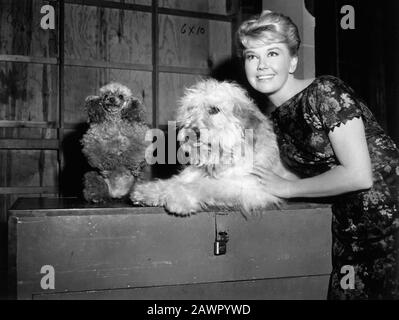 1960, USA : L'actrice et chanteuse DORIS DAY ( née Doris Mary Ann Kappelhoff , née le 3 avril 1924 à Cincinnati, Ohio, USA ), photos de pubblica pendant Banque D'Images