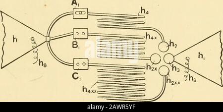 Signalisation à travers l'espace sans fils : étant une description du travail de Hertz & ses successeurs . l'instru-ment de réception. A jusqu'ici toujours été employé; mais, avec lui, le réglage est bien sûr impossible. Un radiateur avec plusieurs balançoires est moins violent à sa première impulsion qu'un émetteur capital ; mais ensuite la puissance d'émission réduite d'un ladiateur est compensée par une durée correspondante de vibration de la part du récepteur ou de l'absorbeur, ce qui rend le radiateur sensible au réglage d'un récepteur ou d'un résonateur spécialement réglé. Le résonateur réglé est alors à res Banque D'Images