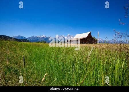 La grange emblématique T. A. Molton et les pics de Teton dans le parc national du Grand Teton, WY Banque D'Images