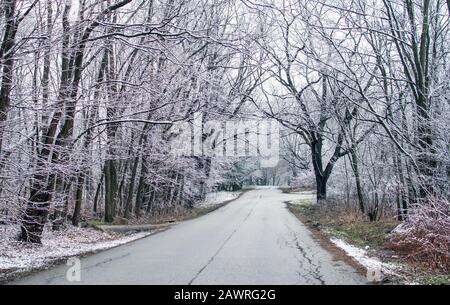 De beaux arbres givrés sur une route rurale dans l'Indiana États-Unis Banque D'Images