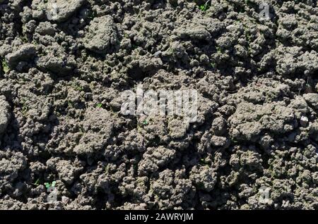 Sur une journée ensoleillée labourée et préparé le sol pour semer au printemps près Banque D'Images