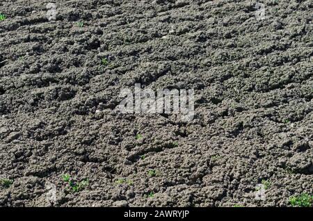 Sol labouré sur un champ agricole pour semis dans la fermeture du printemps Banque D'Images