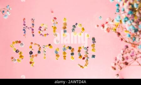 Bonjour printemps. Les lettres sont bordées de petites fleurs de gypsophila multicolores et volent sur un fond jaune parmi d'autres fleurs. Banque D'Images