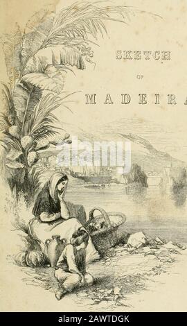 Un croquis de Madère : contenant des informations pour le voyageur, ou visiteur non valide . 3. Yams, 103, 107. Zarco, 61, 64, 65, 66, 69, 74. G. Woodfall And Son, Printers, Angel Court, Skinner Street, Londres. Vient de paraître, en complément de ce volume, folio,UNE SÉRIE D'ESQUISSES À MADÈRE, Par LADY SUSAN VERNON HARCOURT. Thomas JILean, 26 ans, Hatmarket, Lohdoh. MV&lt; ? De o Sketch par Lady Susan citron HarcuURL. LONDRES : JOHN MURRAY, ALBEMARLE STEEET. 1851. Banque D'Images