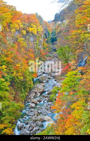 Oyasukyo Gorge, dans la préfecture d'Akita, Tohoku, Japon. Banque D'Images