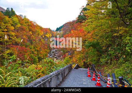 Oyasukyo Gorge, dans la préfecture d'Akita, Tohoku, Japon. Banque D'Images