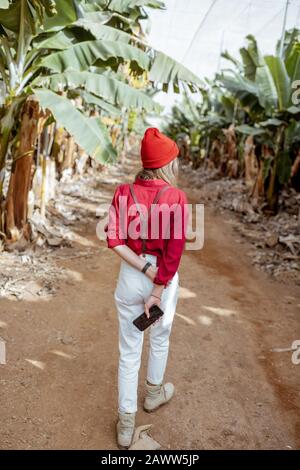 Femme en tant que touriste ou fermier vêtu de façon décontractée en rouge et blanc marchant entre les rangées de bananes à la plantation, vue de l'arrière. Concept d'un tourisme vert ou de la culture de fruits exotiques Banque D'Images