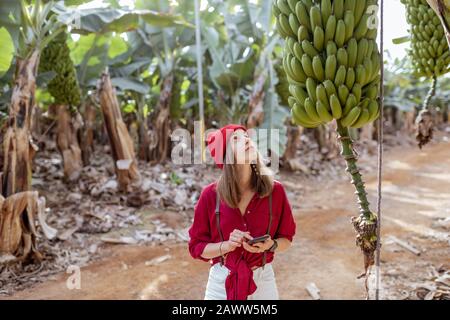Femme en tant que touriste ou fermier vêtu de rouge et blanc explorant les branches de banane à la plantation. Concept d'un tourisme vert ou de la culture de fruits exotiques Banque D'Images