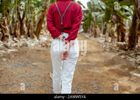 Femme en tant que touriste ou agriculteur vêtu de façon décontractée en rouge et blanc marchant entre les rangées de bananes à la plantation, vue rapprochée de l'arrière-plan Banque D'Images