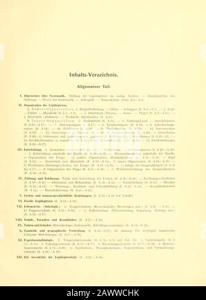 Fr. Berge's Schmetterlingsbuch nach dem gegenwärtigen Stande der Lepidopterologie neu bearb. Und hrsg. Von Professor Dr. H. Rebel Banque D'Images