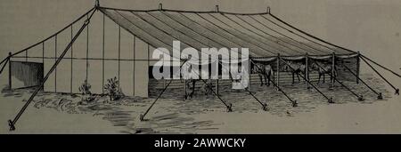 Industries forestières canadiennes juillet-décembre 1914 . M. H. D. Swarts, P. O. Box 566, Scranton, Pa. Prince Rupert Buys Morris Overhead Crane Une ordonnance vient d'être reçue par la Herbert Morris Crane &Hoist Company, Limited, par l'intermédiaire de leurs agents à Vancouver, MM. Waddy & Young, Pour une grue de voyage manœuvrée à la main de 10 tonnes, équipée de roulements à rouleaux Morris au mouvement de déplacement principal. Cette commande a été passée par l'ingénieur municipal de Prince Rupert après avoir examiné les citations de toutes les principales grues de makei sof nord-américaines. La nouvelle maison de puissance est bien en cours et est expectedpour être en fu Banque D'Images