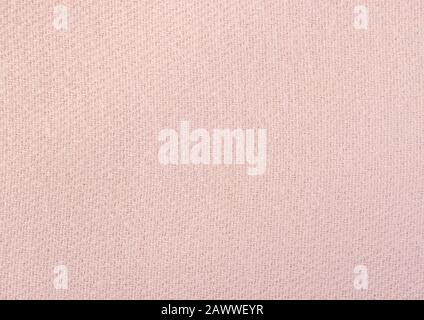 Nuance de tissu froid en laine rose cendré. Tendance des couleurs de l'année 2020. Banque D'Images