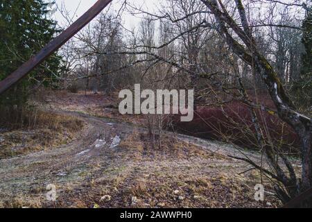 Chemin avec des flaques à travers la forêt d'automne. Temps sombre Banque D'Images