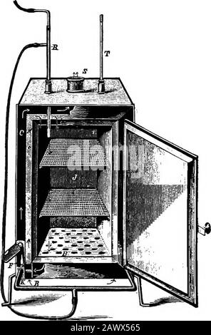 Les essentiels de la bactériologie ; étant une introduction concise et systématique à l'étude des bactéries et des microörganismes alliés . nettoyé nos ustensiles et puis nota soin de les protéger de l'exposition ultérieure, les germswe ont semé seront effatés ou contaminés par des multitudesd'autres qui sont constamment sur nous. Nous devons donc prendre les précautions nécessaires: D'abord, soigneusement nettoyer et stériliser chaque objet qui entersinto, ou de toute façon vient en contact avec la culture. Deuxièmement, maintenir ce degré de stérilité tout au long du cours de la croissance, et prévenir, par approprié Banque D'Images