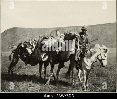 Après des moutons sauvages dans l'Altaï et la Mongolie; . Désolé-Kol LakeâTracks de Maral et MooseâLittleShoots un bon camp de Roe-buckâOur à VulientashâAbsence deerâseptembre 6thâretraite générale à OngoudaiâMeeting deMajor WissmannâHomeward Lié. Tard dans la matinée du 9 août, nous avons frappé camp.la cause du retard était que huit de nos poniesde pack avaient quelque peu disparu et avec cette mauvaise news que nous avons rencontré alors que nous nous sommes sortis de nos tentes.Son rapport impliquait qu'ils auraient pu être stoldurcissent la nuit par les Kirghiz, qui, a-t-il dit, a été accro à de telles procédures. Notre opinion, cependant, était t Banque D'Images