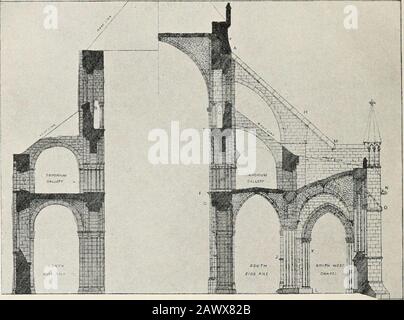 L'église cathédrale de Chichester; une courte histoire et une description de son tissu avec un compte rendu du diocèse et voir . de la nef, le mur extérieur de l'allée a été coupé dans la deuxième baie, allant à l'ouest de thetransept, et une petite chapelle a été construite. L'autre chapelswest de celui-ci a été ajouté pendant la seconde moitié de la période de lecenty. Dans chaque cas, les contreforts profondément proférés qui avaient été introduits contre les murs antérieurs après le deuxième feu ont été utilisés, là où ils étaient disponibles, pour former des parties de la maçonnerie de ces nouvelles chapelles, et ont donc été notoirement perturbés inutilement. L'ancien W Banque D'Images