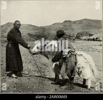 Après des moutons sauvages dans l'Altaï et la Mongolie; . e région, nous sommes nous-mêmes des personnes importantes dans l'ourcountry, et que nos souverains seraient très muchannoyés s'ils savaient que nous n'avions pas été traités selon notre position, etc., mais tout en vain. La réponse de Theconent était qu'il n'avait reçu aucun ordre de Kobdo. En outre, après avoir perused ourpasseports, il nous a dit qu'il devrait les envoyer aux autorités de cette ville pour être examiné avec soin, et que nous devrions être obligés towait jusqu'à ce qu'ils soient retournés, ce qui implique que les trois eweeks restent au karaoul. Sans aucune attention Banque D'Images