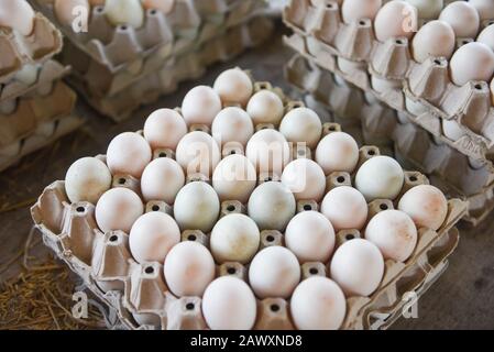 Oeufs frais oeufs de canard blanc fort / la production d'oeufs biologiques frais de la ferme Banque D'Images