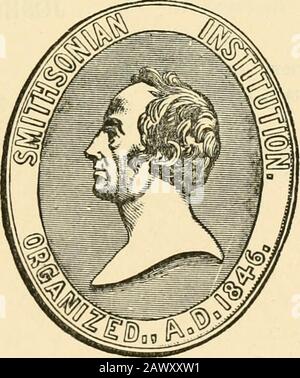 Smithsonian diverses collections . omy, les opérations sous-cutanées pour la removalisation des cartilages lâches de l'articulation du genou; un grand nombre de rations d'ope en chirurgie ophtalmique; l'opération sous-cutanée forthe radical cure of hernia, ainsi que celles pour la fracture unununised, varices, navi, et aussi pour l'effacement des dépressédcicatrelles; la méthode sous-cutanée d'ouverture des abcès et des tumeurs kystiques; la division sous-cutanée de la sténose; et les opérations alsoséverales d'un sous-cutaneouscaractère plus ou moins parfaitement, qui ont été effectuées en cas d'anchylosis de la hanche, du genou Banque D'Images