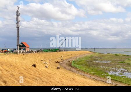 Impression de Spiekeroog côtières, l'une des îles de la Frise orientale sur la côte de la mer du Nord de l'Allemagne Banque D'Images