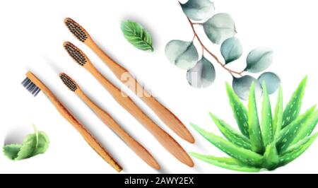 Brosses à dents en bambou avec plantes en aloe vera et feuilles vertes. Produits écologiques vectoriels Illustration de Vecteur