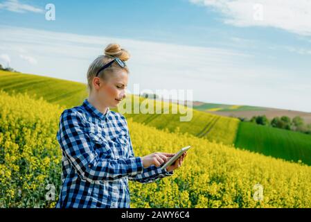 Agriculture Farmer Utilisant La Tablette Numérique Examiner Les Cultures Banque D'Images