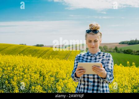 Agriculture Farmer Utilisant La Tablette Numérique Examiner Les Cultures Banque D'Images