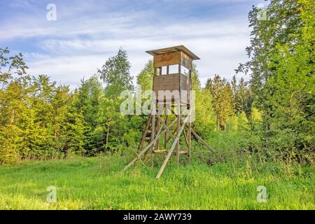 Deerstand dans la forêt entourée d'arbres, prairie en face Banque D'Images