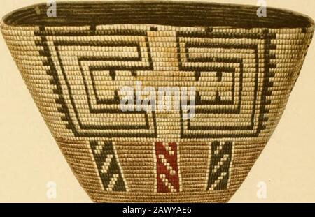 Le rapport annuel du Bureau d'Ethnologie américaine au secrétaire de la Smithsonian institution . andtl est incertain. La variabilité des entrailles reflète une variabilité indie-vidual réelle. Le son zr, z semble représenter un z. A.M.N.H., American Museum of Natural History, New York, N.Y. U.S.N.M., United States National Museum, Washington, D.C.H. M.A.I., Museum of American Indian, Heye Foundation.U.P.M., Museum of the University of Pennsylvania. BUREAU DE L'ETHNOLOGIE AMÉRICAINE QUARANTE ET UNIÈME RAPPORT ANNUEL FRONTISPIECE. Banque D'Images