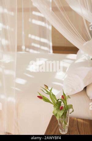 Bouquet de tulipes dans un vase sur une table de chevet à côté d'un lit à baldaquin avec rideaux de gaze dans une maison de luxe moderne et tranquille avec une chambre intérieure Banque D'Images