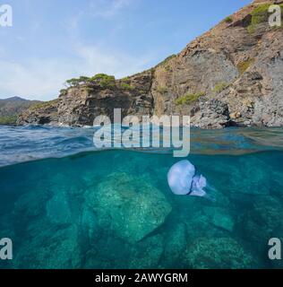 Côte rocheuse avec un méduse de tonneau sous l'eau, vue divisée sous la surface de l'eau, mer méditerranéenne, Espagne, Costa Brava, Catalogne, Cap de Creus Banque D'Images