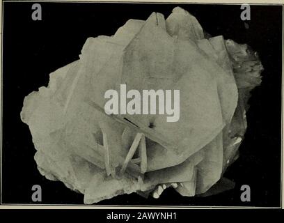 Un guide populaire des minéraux : avec des chapitres sur la collection de minerais de Bement dans le Musée américain d'Histoire naturelle, et le développement de la minéralogie . le cuivre trouvé dans cette région a été découvert en 1857; il était de 45 pieds de long, 22 pieds à la widestpart, et 8 pieds d'épaisseur; il pesait 420 tonnes. La production de cuivre provenant d'autres sources a réduit le pourcentage de cuivre supérieur au lac su dans le produit total, de sorte qu'en 1869, 95 p. 100 du produit total provenait du lac supérieur, en 1890, il est tombé à 39 p. 100. En 1900, les États-Unis produisaient 601,-000.000 livres de cuivre. P Banque D'Images