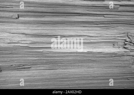 Texture du bois Banque D'Images