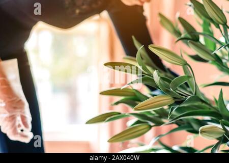 Fleuriste féminin en chemise noire avec bouquet de lilas dans le salon pour une soirée. Mise au point sélective. Banque D'Images