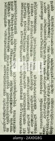 Histoire du langage bengali et literatureA série de conférences fournies comme lecteur à l'Université de Calcutta . il corps accroché une peau de tigres lâches et la moitié de l'autre a été appareled en violet riche. OnOne des pieds était la douce sonorité Nupuraand sur l'autre un anneau de serpents. T^^ o handsheld conch et discus et les deux autres thétrident et le Dumbura. Ici aussi, le monde est emblématique dans un langage highlypoétique et d'une manière qui apaise sérieusement l'esprit hindou. Le sublime et la belle dans la nature, l'élégance et la gloire de la vie, passent dans la désolation de la crème-o-round. Ça Banque D'Images