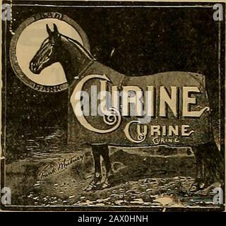 Éleveur et sportif . nt snrgeon en charge de l'hôpital vétérinaire, Université de Pennsylvanie.CURINE est le plus puissant palntlnown, et remplace tout^cautériser ou tir. Il ne contient pas de graisse et ne blemish oi enlever les cheveux. Ses effets sont absorbants, altertifs, pénétratifs et antiseptiques, et est la seule préparation capable d'atteindre les troubles les plus profonds assis. Les chevaux peuvent être damés comme d'habitude tout en utilisant cette merveilleuse peinture. Il est utilisé avec un succès phénoménal En Europe, et dans les États-Unis et le Canada de premier plan de trotting et de ronnJngstableslntbe. Toute personne qui achète un bo Banque D'Images