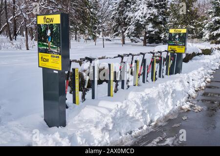 Bucarest, Roumanie - 6 février 2020: Station d'accueil de scooter électrique Flow en hiver, avec scooters couverts d'une couche fraîche de neige, au roi Michae Banque D'Images