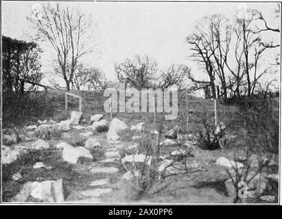 Le jardin que nous avons fait . 49 Digitized par IVIicrosoft® Le Gardenque Nous Avons Fait. Le Rockery dans le jardin du thesMall au printemps, avant toute plantation a été fait. Les fleurs printanières étaient la spécialité du Cottage Blanchi à la jaune. Le propriétaire de ce littlegarden a des fleurs d'inprintemps spécialisées, et c'est des aberces que je voudrais towrite. Mais pour décrire les fleurs printane1 doit retourner à l'automne quand des centaines et des centaines d'ampoules ont été plantées dans ce sol préparé.les chutes de neige, le crocus, le muscari (ou la jacinthe de raisin), la scilla, les tulipes, et ainsi de suite, ont été mis en septembre et octobre; ils étaient pla Banque D'Images