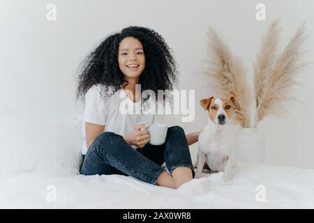 Heureuse femme insouciante avec Afro coiffure, porte t shirt nad jeans, se sent heureux, tient tasse de café, rires sincèrement, Jack russell terrier pose près Banque D'Images