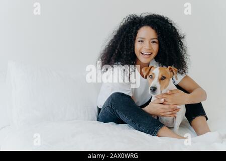 Concept de personnes, de soins aux animaux et d'amitié. Femme Afro souriante avec une expression heureuse câblez le chien pedigree, asseyez-vous sur un lit confortable, espace de copie sur la merde Banque D'Images