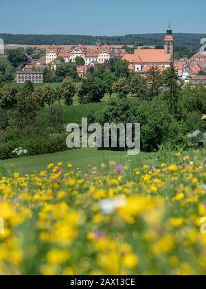 Schloss Ellingen, Weißenburg, Franken, Bayern, Deutschland | Pré De Fleurs Sauvages, Schloss Ellingen , Weißenburg, Franconie, Bavière, Allemagne Banque D'Images