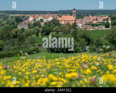 Schloss Ellingen, Weißenburg, Franken, Bayern, Deutschland | Pré De Fleurs Sauvages, Schloss Ellingen , Weißenburg, Franconie, Bavière, Allemagne Banque D'Images