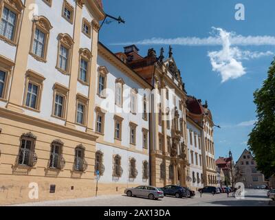 Schloss Ellingen, Weißenburg, Franken, Bayern, Deutschland | Pré De Fleurs Sauvages, Schloss Ellingen , Weißenburg, Franconie, Bavière, Allemagne Banque D'Images