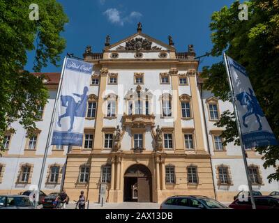 Schloss Ellingen, Weißenburg, Franken, Bayern, Deutschland | Pré De Fleurs Sauvages, Schloss Ellingen , Weißenburg, Franconie, Bavière, Allemagne Banque D'Images