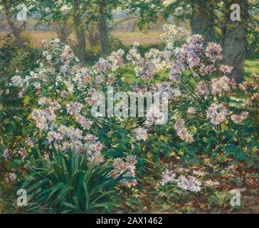 Fleurs Du Vent, 1912. Banque D'Images