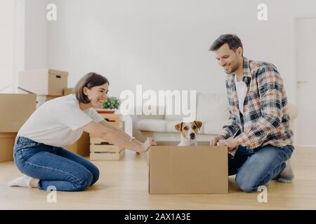 La photo horizontale d'une jolie femme déplace une boîte en carton avec un petit chiot du côté du mari, passe du temps libre ensemble, se déplacer dans une nouvelle habitation moderne, déballer être Banque D'Images