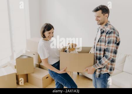 Photo intérieure d'une boîte de carton de transport positive pour les femmes et les hommes avec animal de compagnie préféré, relocaliser dans un autre lieu de vie, occupé à déballer l'appartenance personnelle Banque D'Images