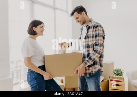 Satisfait beau couple de famille porte boîte de carton avec leur animal domestique, déplacer dans une nouvelle habitation préparer pour la célébration de la réinstallation inviter des amis dans Banque D'Images